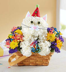 Purrfect Party Cat Davenport Florist - Same Day Flower Delivery - Flower Power 